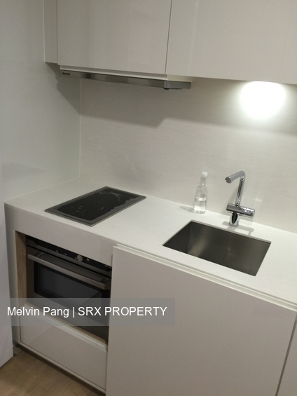 Skysuites@Anson (D2), Apartment #356725711